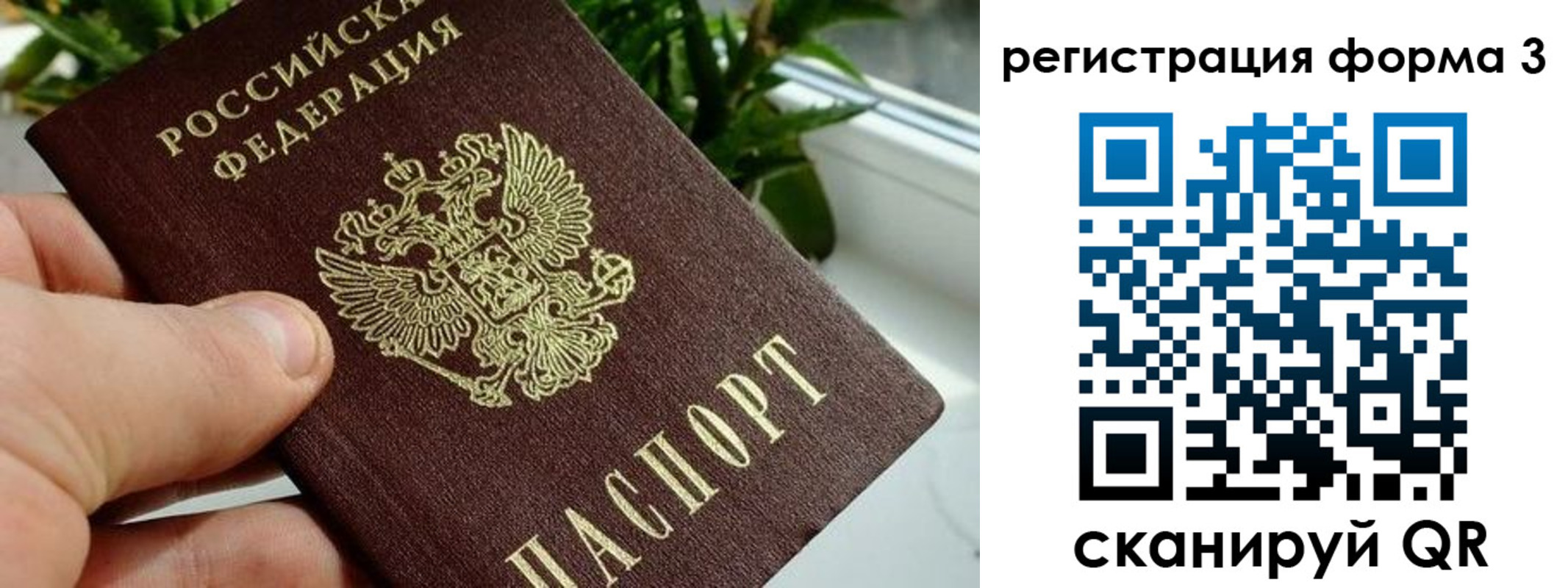 прописка штамп в Камызяке